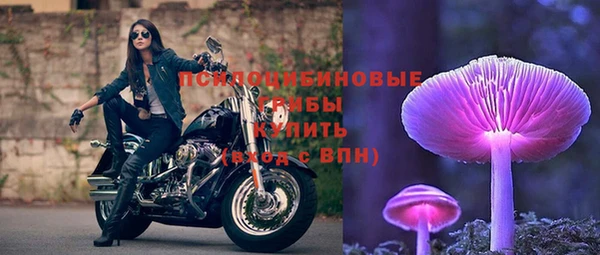 дурь Алексеевка