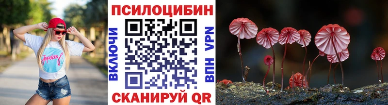 сколько стоит Петровск-Забайкальский Галлюциногенные грибы Psilocybine cubensis