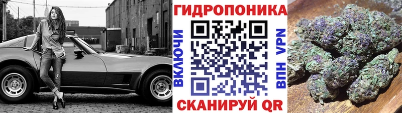 Канабис SATIVA & INDICA Петровск-Забайкальский
